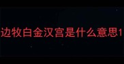 边牧白金汉宫是什么意思