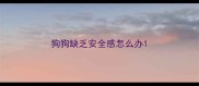 狗狗缺乏安全感怎么办