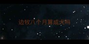 边牧八个月算成犬吗