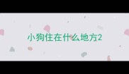 小狗住在什么地方