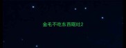 金毛不吃东西呕吐