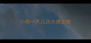 小狗一天几次大便正常
