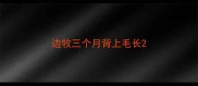 边牧三个月背上毛长