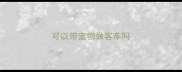 可以带宠物做客车吗