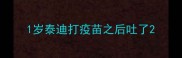1岁泰迪打疫苗之后吐了
