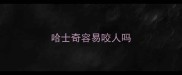 哈士奇容易咬人吗