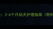 马犬饲养难点全2-6个月幼犬护理指南附科学喂养方案
