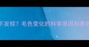 黑拉布拉多阳光下发棕毛色变化的科学原因和养护技巧附对比图
