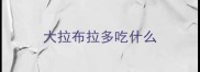 大拉布拉多吃什么