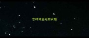 怎样做金毛的衣服