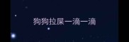 狗狗拉屎一滴一滴