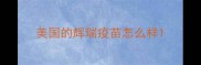 美国的辉瑞疫苗怎么样