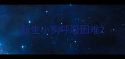 新生小狗呼吸困难