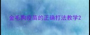 金毛狗疫苗的正确打法教学