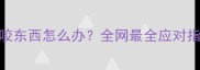 拉布拉多幼犬磨牙期乱咬东西怎么办全网最全应对指南附防咬玩具推荐