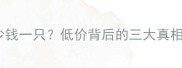 泰迪犬香槟色多少钱一只低价背后的三大真相与饲养避坑指南