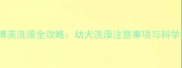 5个月大博美洗澡全攻略幼犬洗澡注意事项与科学护理指南