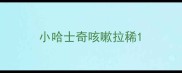 小哈士奇咳嗽拉稀