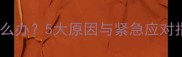哈士奇幼犬突然没精神怎么办5大原因与紧急应对指南附专业兽医建议
