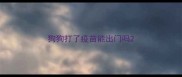 狗狗打了疫苗能出门吗