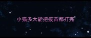 小猫多大能把疫苗都打完