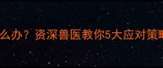 拉布拉多嘴巴变化怎么办资深兽医教你5大应对策略附症状自查表