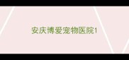 安庆博爱宠物医院