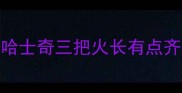 哈士奇三把火长有点齐