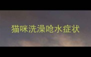 猫咪洗澡呛水症状