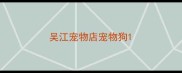 吴江宠物店宠物狗