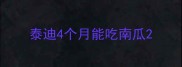 泰迪4个月能吃南瓜