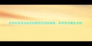 拉布拉多攻击幼犬的原因及预防指南科学养护避免冲突
