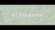 俩个月的狗能吃鸡蛋