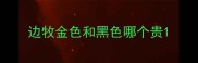 边牧金色和黑色哪个贵