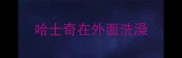 哈士奇在外面洗澡