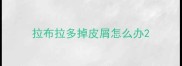 拉布拉多掉皮屑怎么办