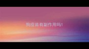 狗疫苗有副作用吗