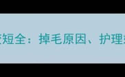金毛腿部毛发变短全掉毛原因护理妙招与预防措施