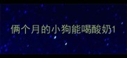 俩个月的小狗能喝酸奶