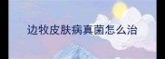 边牧皮肤病真菌怎么治