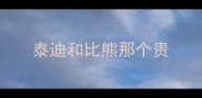 泰迪和比熊那个贵