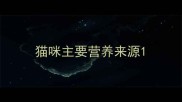 猫咪主要营养来源