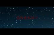 边牧走失2017