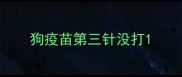 狗疫苗第三针没打