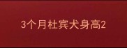 3个月杜宾犬身高