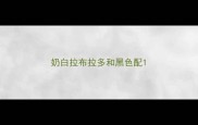 奶白拉布拉多和黑色配