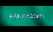 金毛肺炎怎么治疗