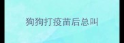 狗狗打疫苗后总叫