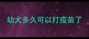 幼犬多久可以打疫苗了