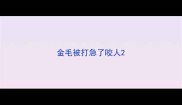 金毛被打急了咬人